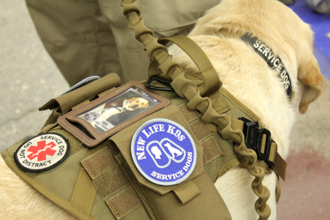 New Life K9’s holds a graduation ceremony for every dog that passes training. At the ceremony, the dogs are presented with their official New Life K9’s service vest, as well as their very own trading card.