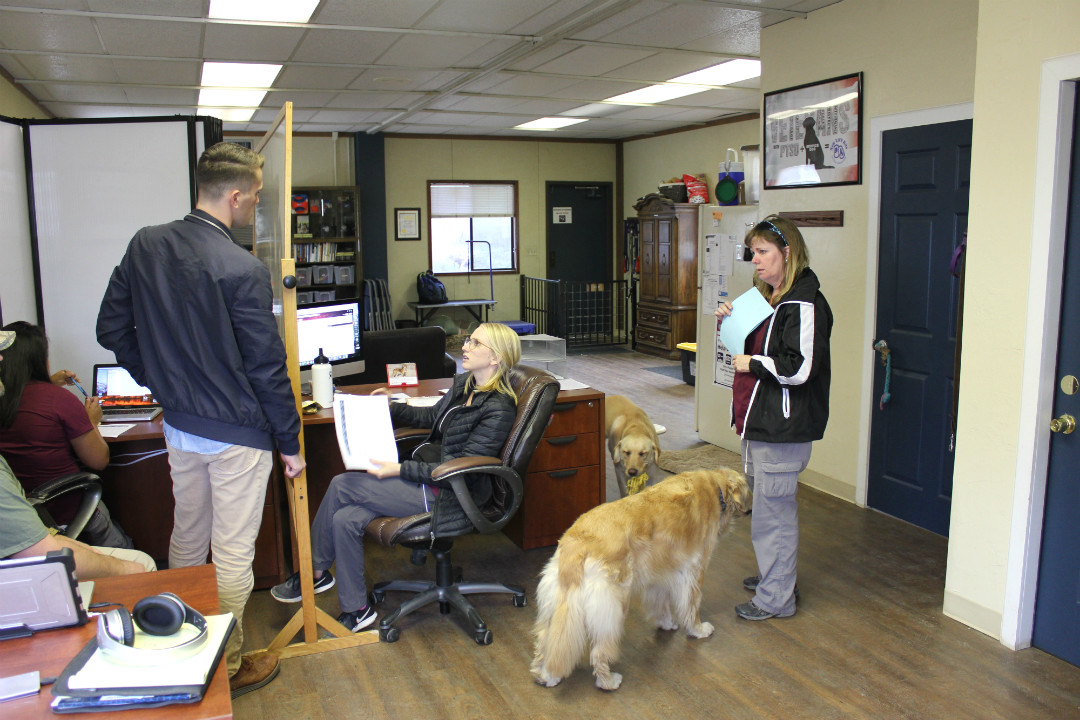 The office staff is preparing for a bootcamp for veterans and their service animals for the week of Oct. 15. Director of administration Dillon Jamison stops by the office to go over last minute details for the bootcamp, as well as fundraising campaigns and other logistics that keep New Life K9’s running.