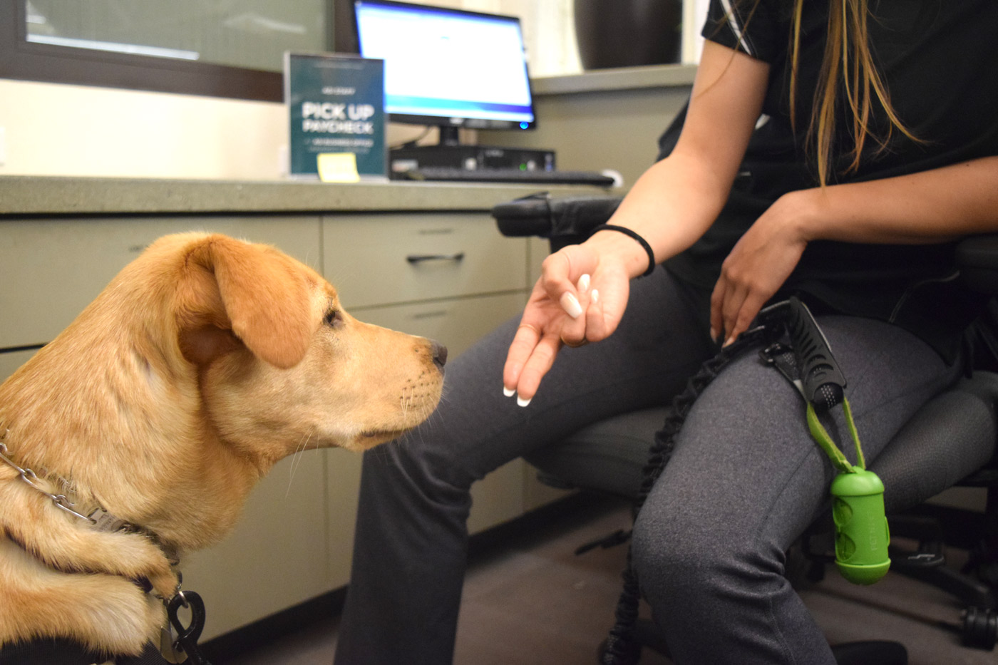 “I’m doing an owner-trained service dog and that really just means you’re going to train your dog to become your service animal yourself,” Chock said. One of the skills she works on is using the word “touch” to train Mo to alert her when she is in a crisis.Photo Credit: Sydney Brandt