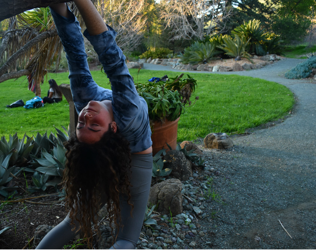 Tree yoga is one of Jamie’s favorite yoga practices. Jamie says, “I can do so much more when I am in a tree because it is supporting me.” 
